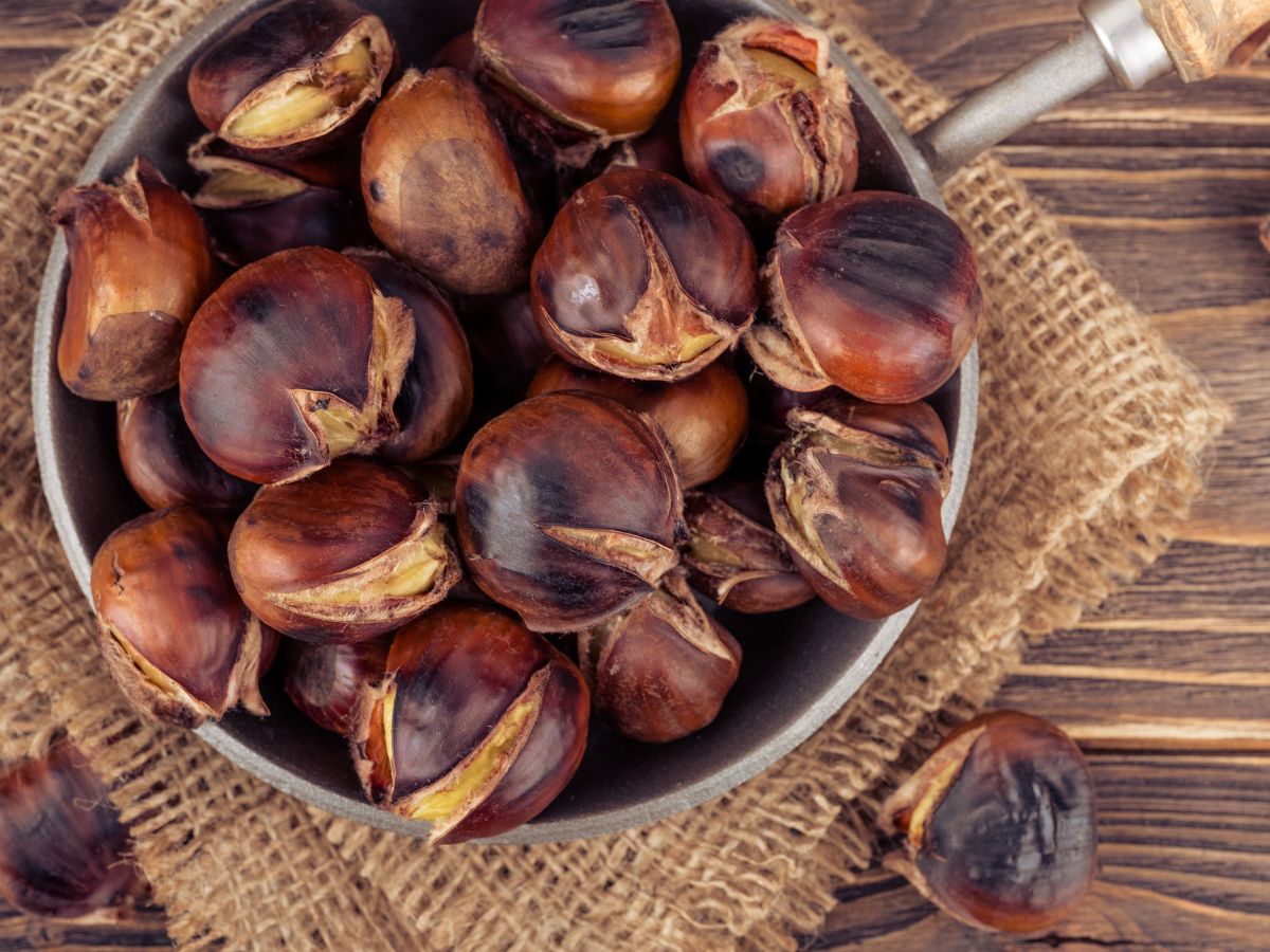Padella di marroni e castagne del Casentino arrostite su tessuto di iuta