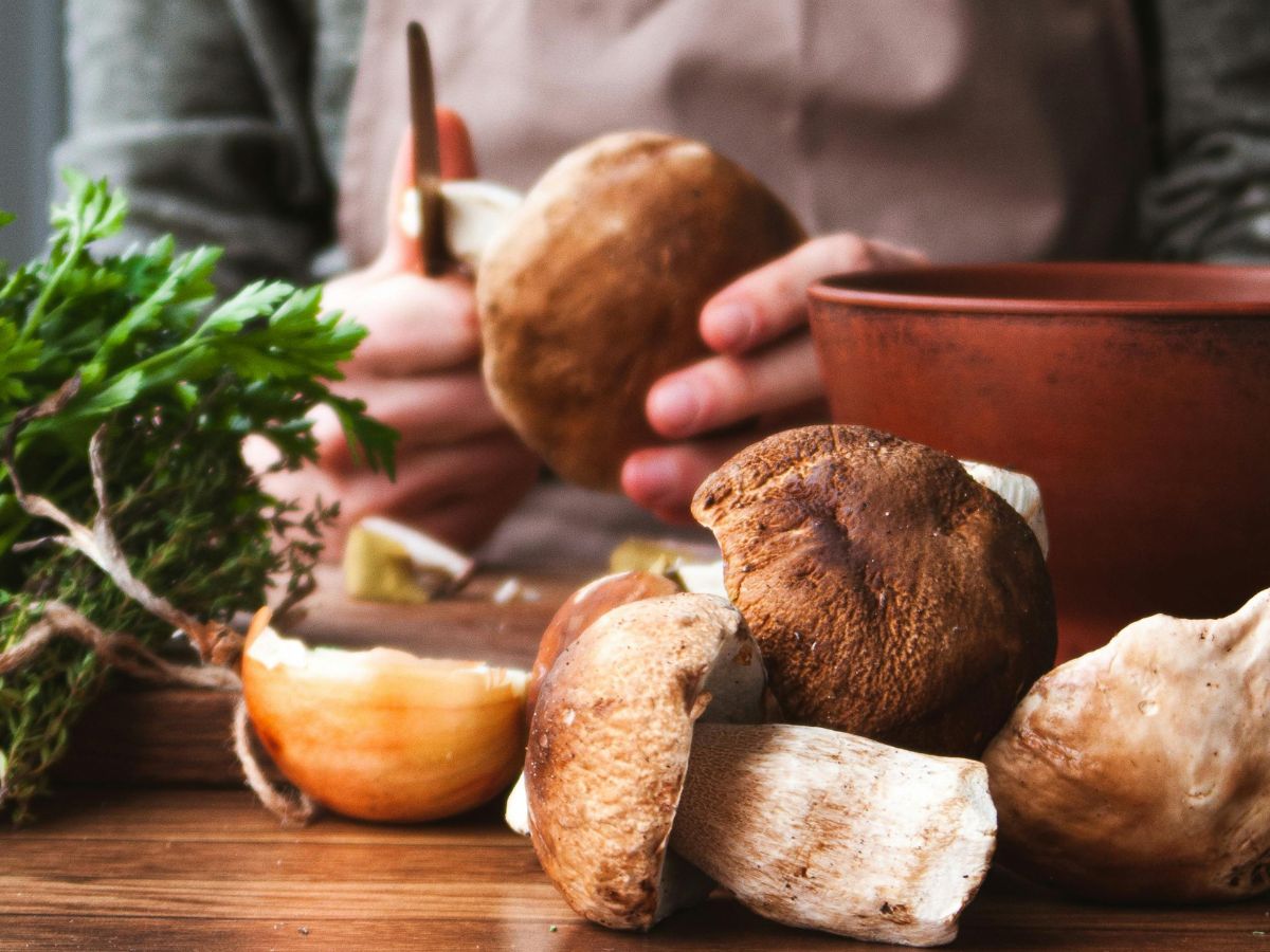 Funghi porcini freschi del Casentino pronti per essere puliti in cucina
