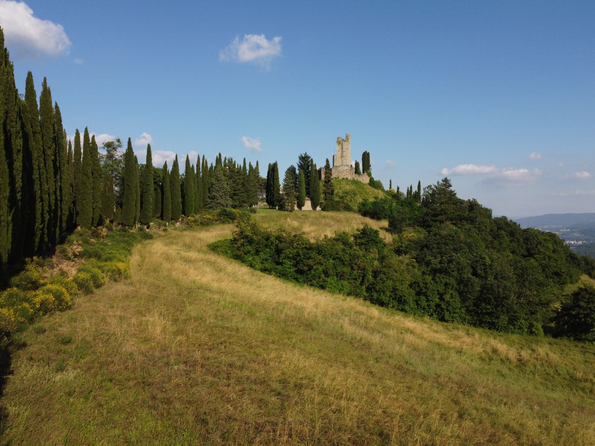 Vista panoramica ad ampio raggio delle rovine del Castello di Romena sullo sfondo, adagiate in cima a un colle preceduto da un prato dorato e una fila di cipressi.