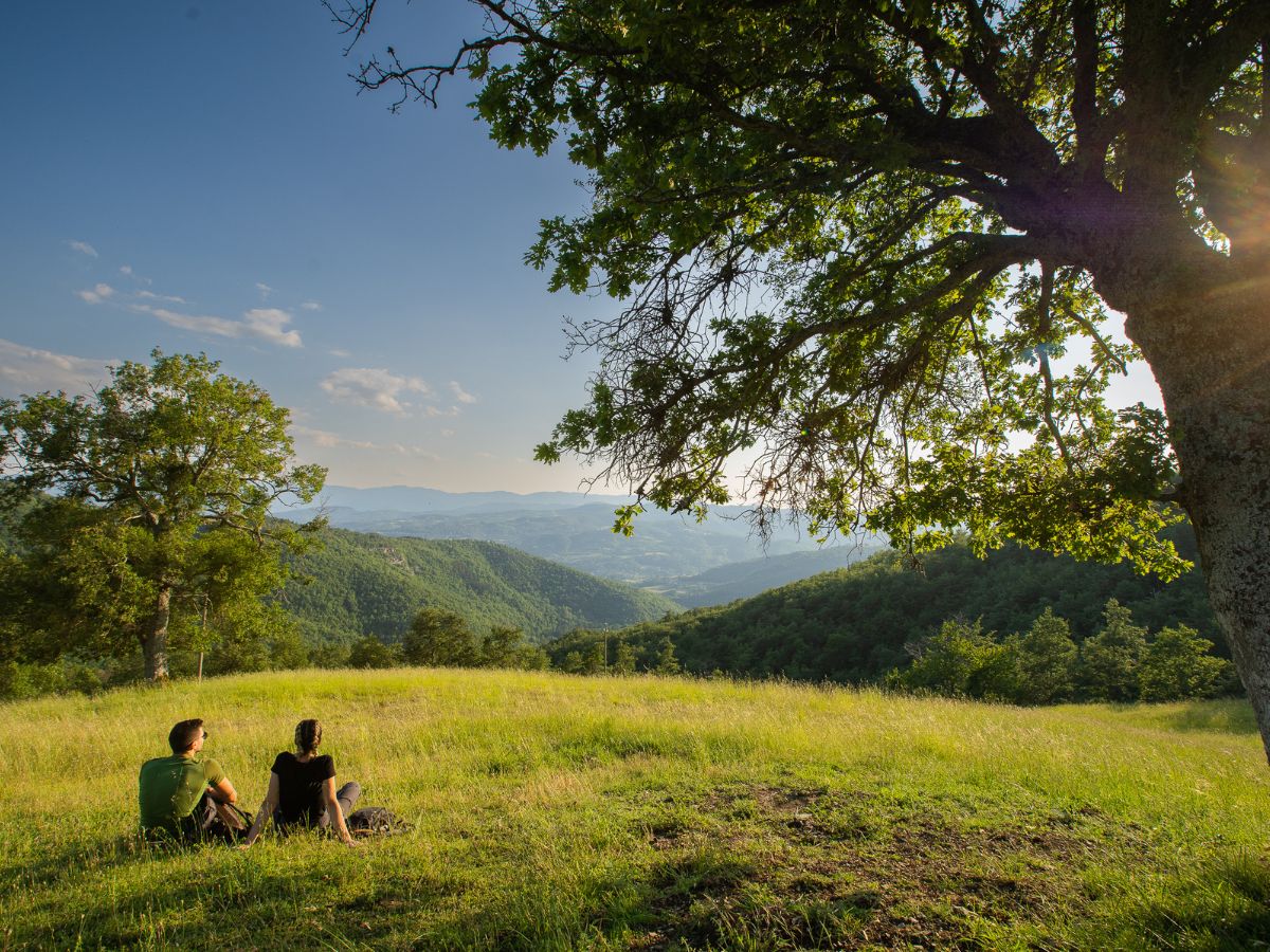 Due escursionisti seduti su un prato verde all'ombra di un grande albero, intenti ad ammirare il panorama della valle e delle montagne del Casentino al tramonto.